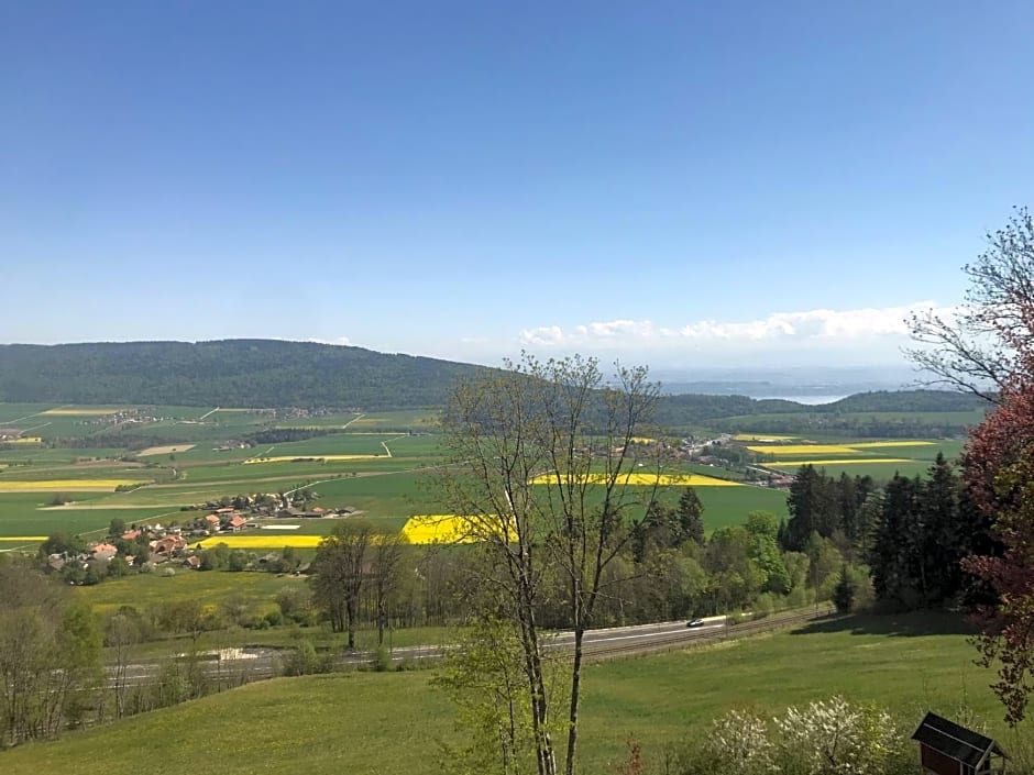 Le Manoir de l'Oselière & Spa