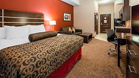 Suite-1 King Bed Non-Smoking Sofabed Full Kitchen Wi-Fi Full Breakfast
