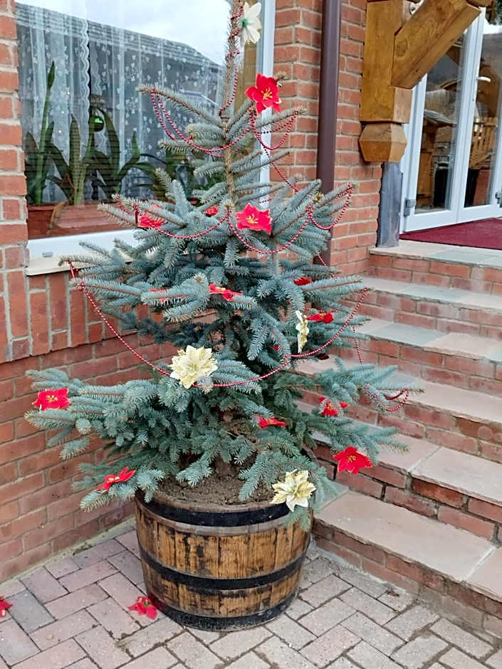 Pensiunea Popas Pop, Strambu-Baiut, Maramures