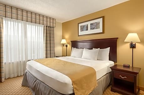 One-Bedroom King Suite - Non-Smoking