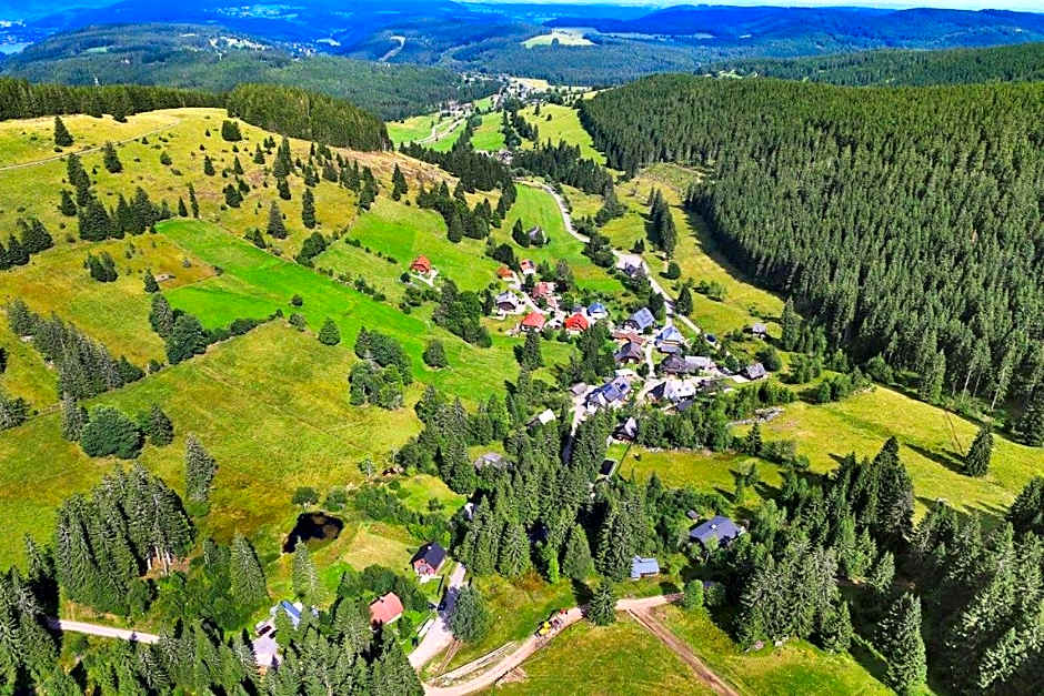 Schwarzwald-Hotel Kraeutle