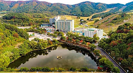 Wellihilli Park Resort
