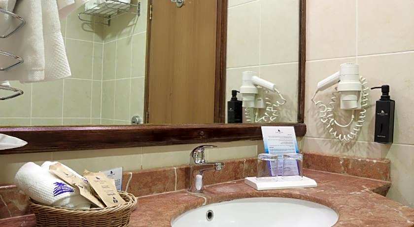 Dead Sea Spa Hotel