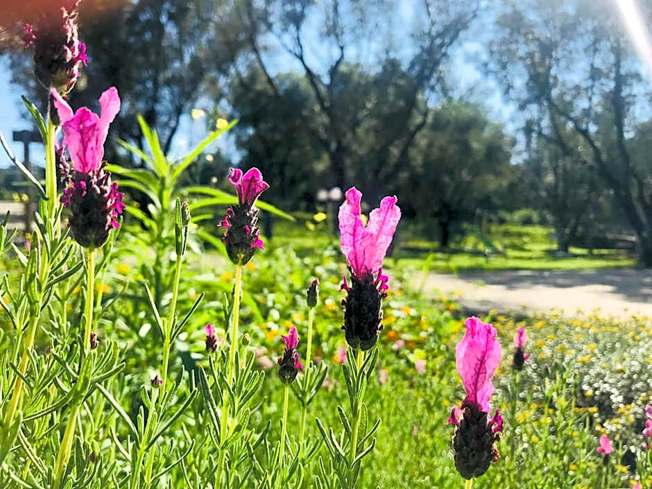 Green Park Hotel & Residence