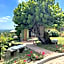 B&B La Bianchina