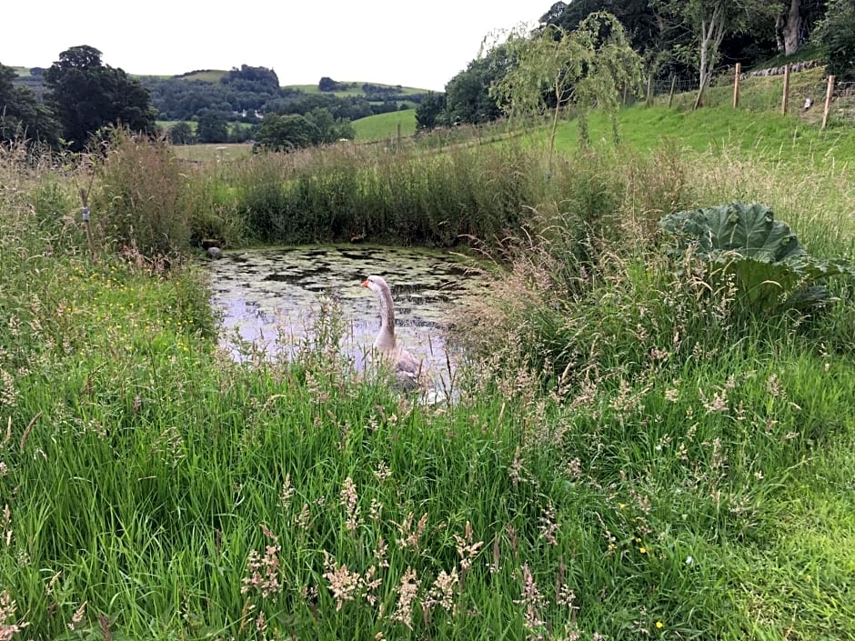 Jacquie's B&B -Dumfries-Room with a view