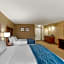 Comfort Inn and Suites Jackson - West Bend
