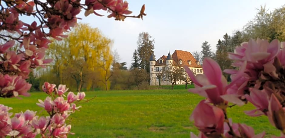 Château De Werde