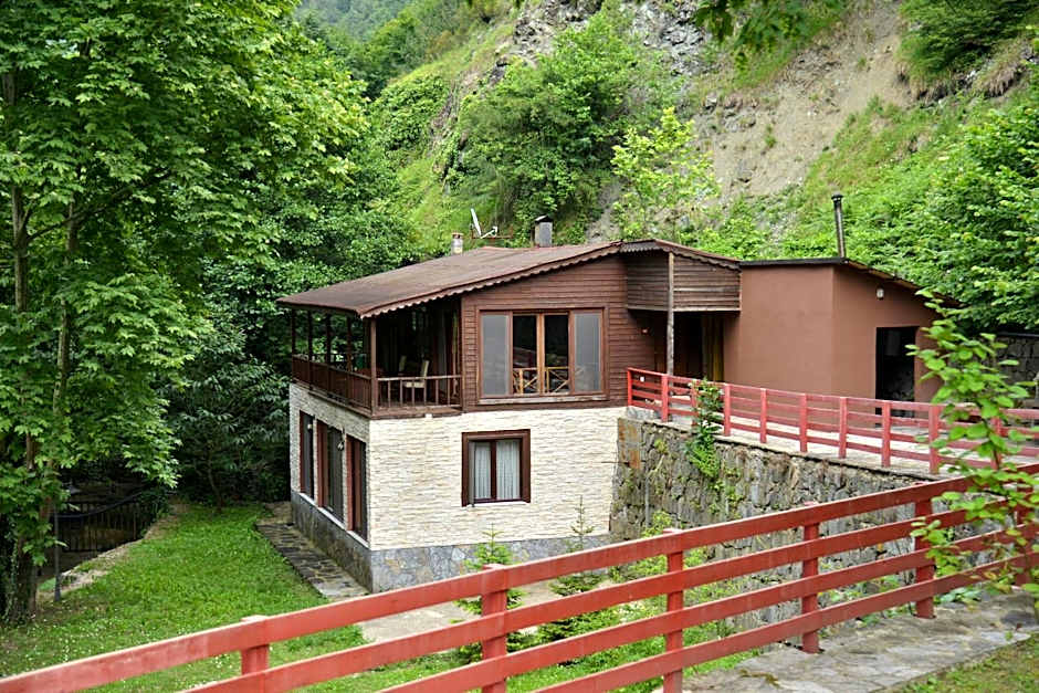 Feel & Live Hotel Villas Restaurant Sapanca