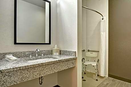 1 King Accessible Roll In Shower