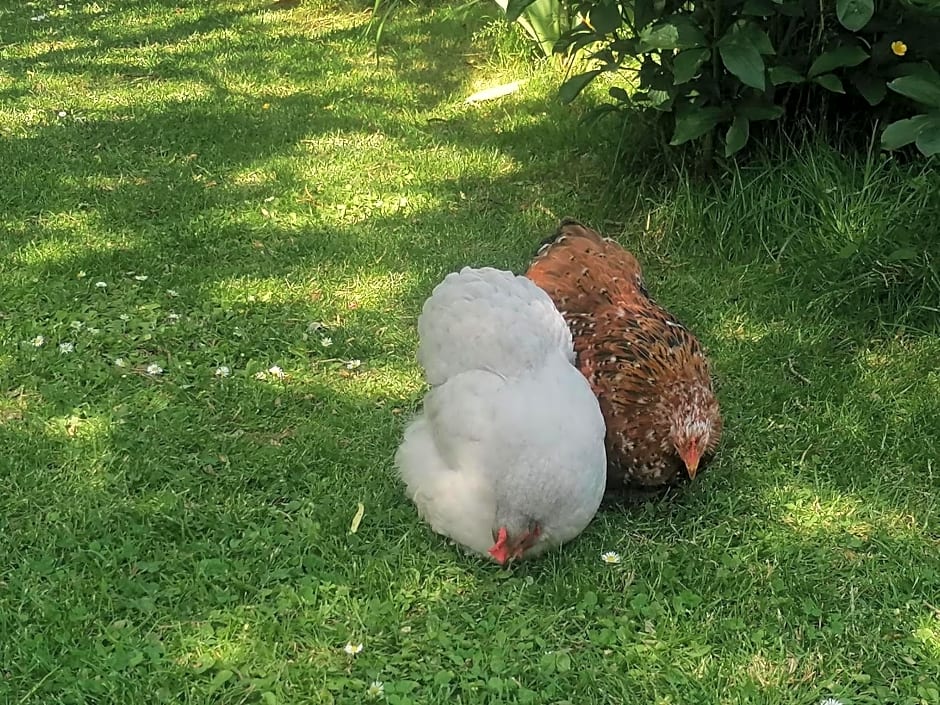 Chambre d'hôtes Les Magnolias