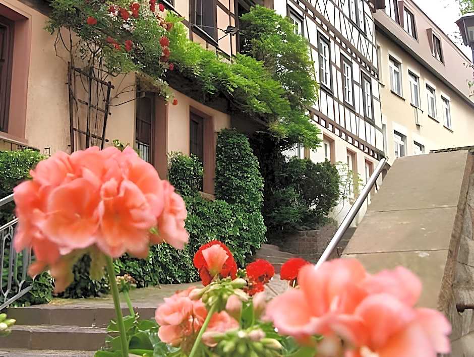 Hotel Bacchus