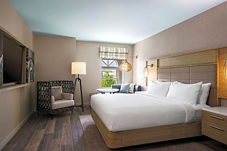 Classic King, Guest room, 1 King