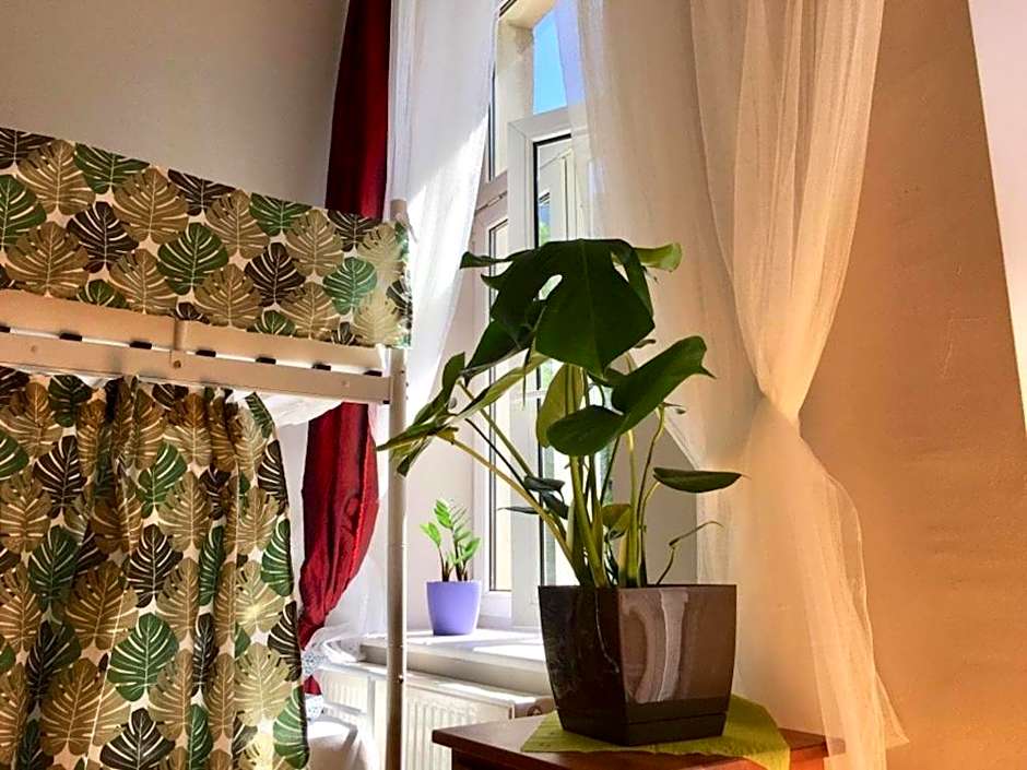 Green House – Krakow, MA