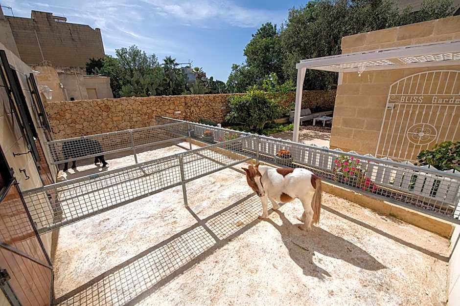 Bliss Boutique Living