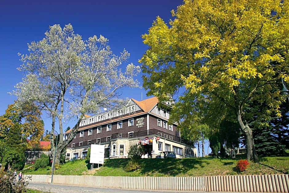 Spa Hotel Bily Horec