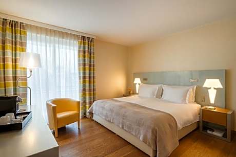 Small Standard Double Room with Mountain View