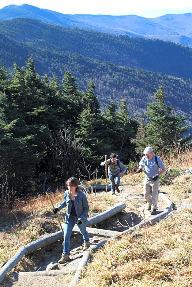 Mt Mitchell Cabin Rentals