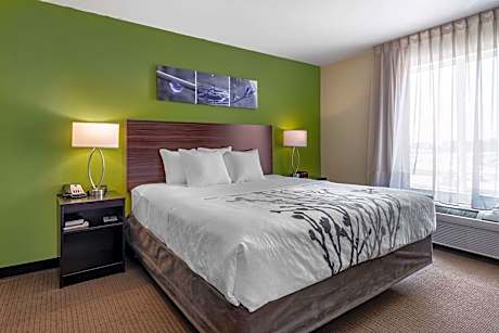 1 King Bed, Nonsmoking, Accessible