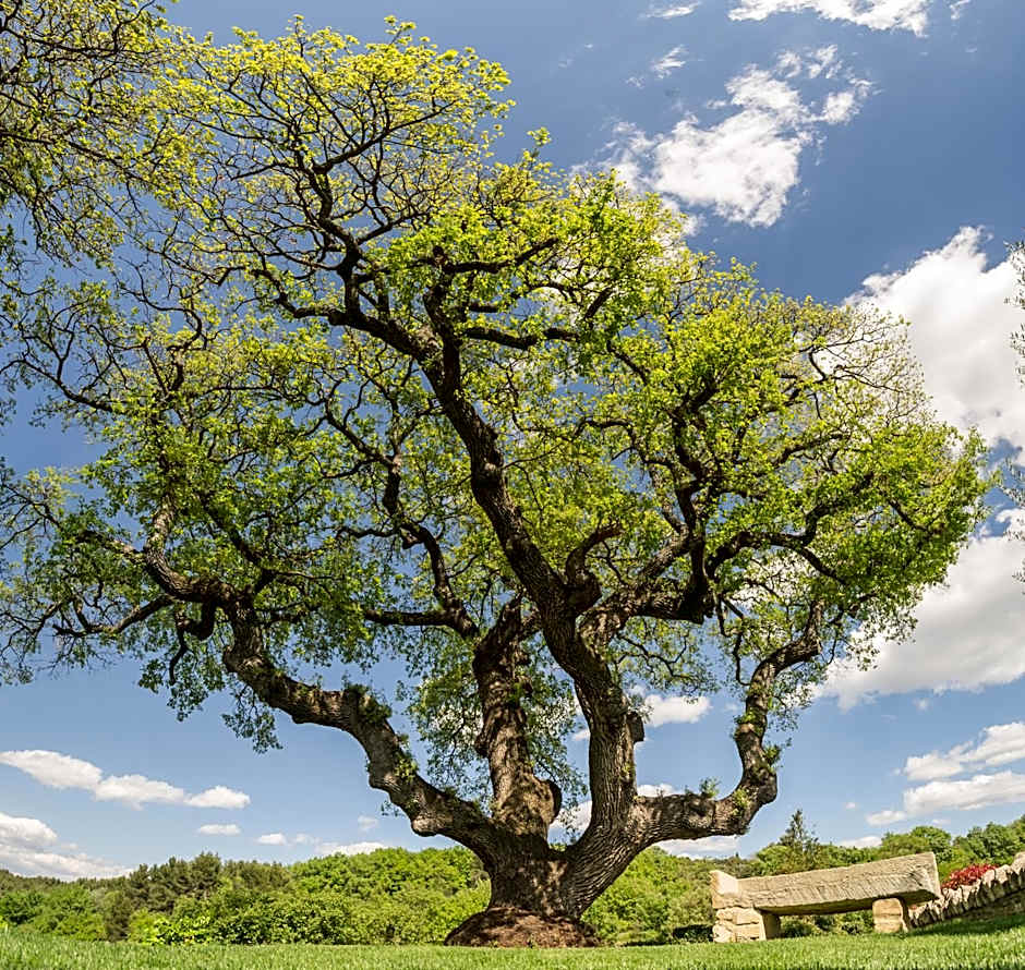 Domaine Les Roullets