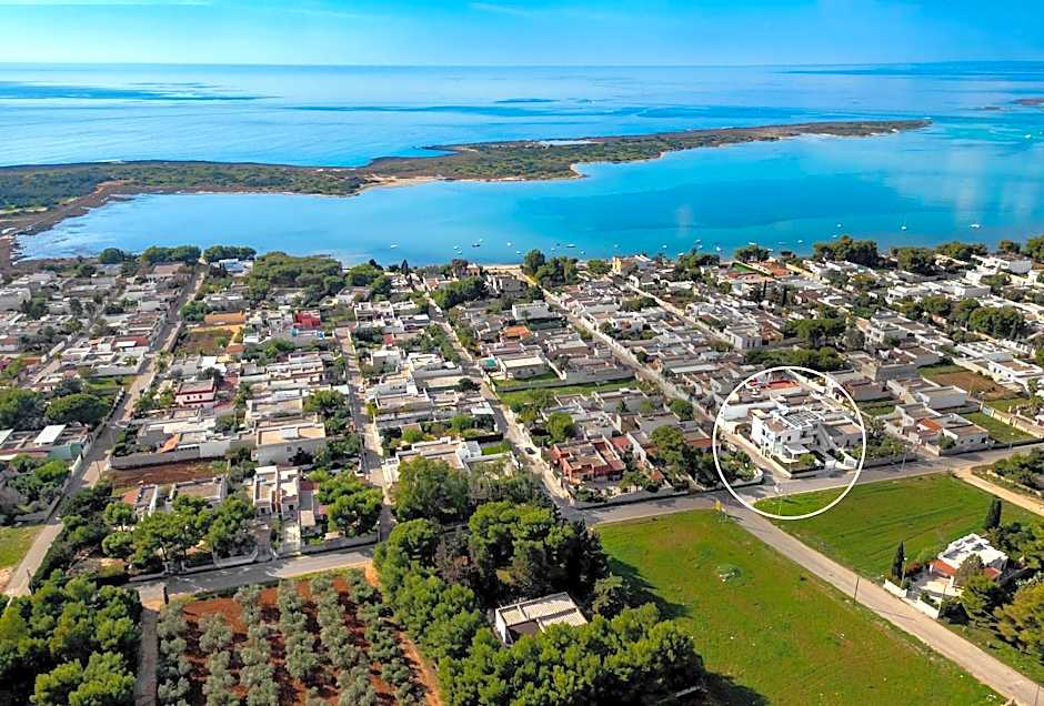 B&B Dreams and Delights