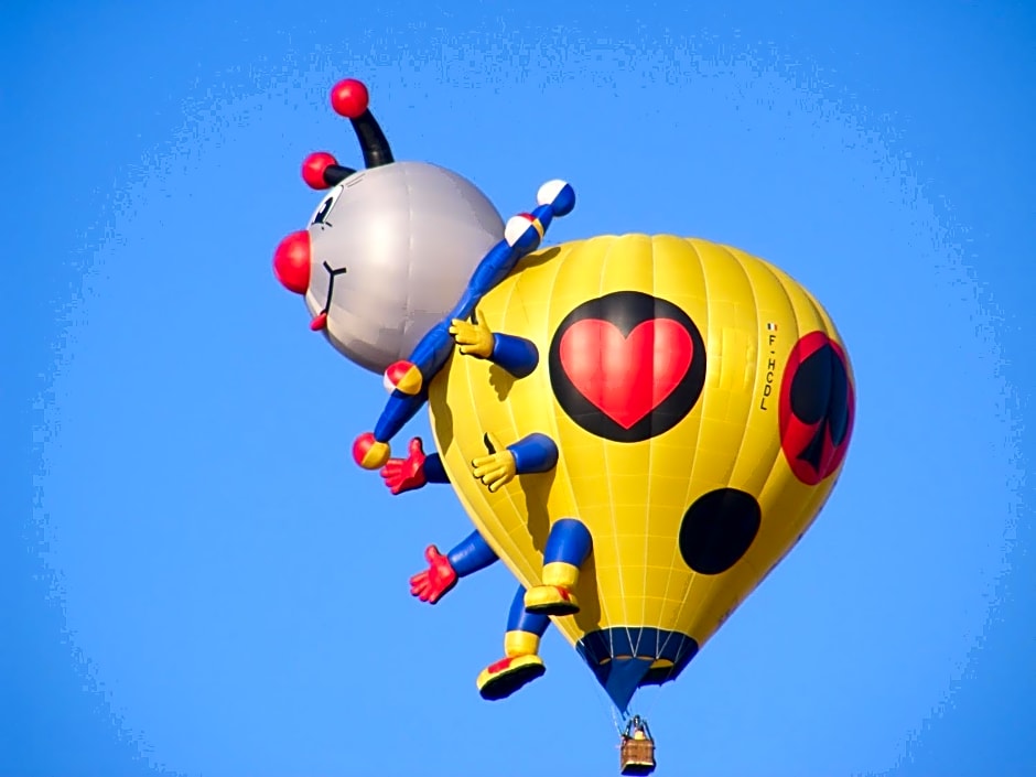 Chambres d'Hôtes Vignes et Loire