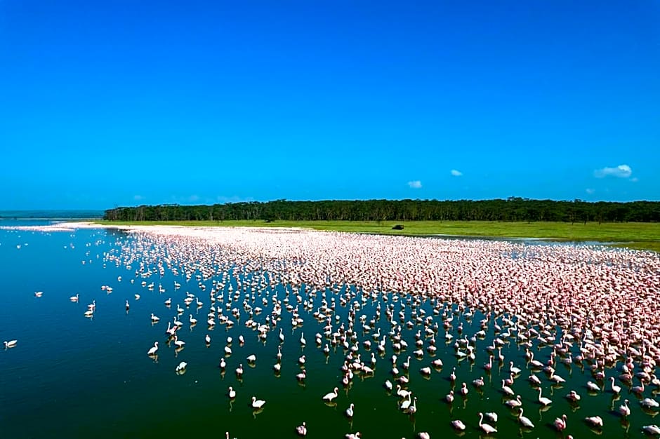 Lake Elmenteita Serena Camp