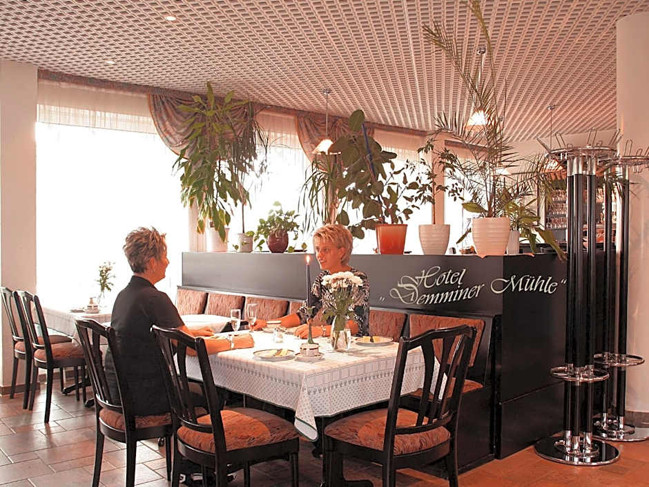 Hotel Demminer Mühle