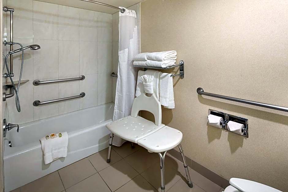 Holiday Inn Hotel & Suites Anaheim By IHG