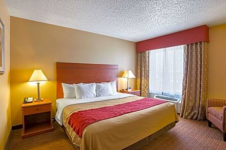 1 King Bed Suite Nonsmoking