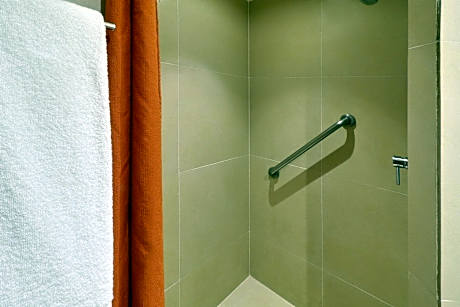 Queen Bed Non Smoking