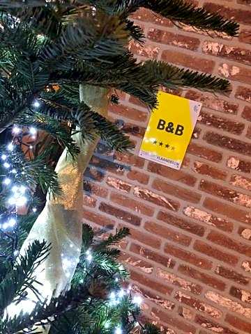 B&B Sasput