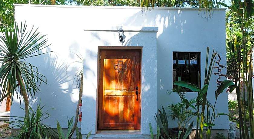 Mad Monkey Dumaguete