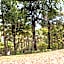 Radisson Blu Mammy Yoko Hotel