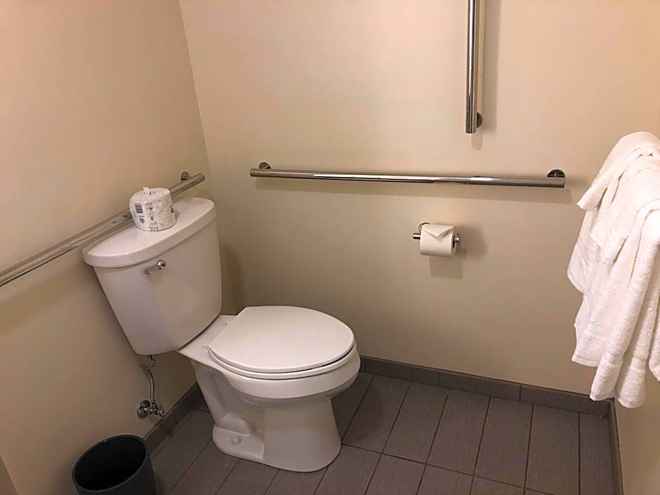 Holiday Inn Hotel & Suites - Mount Pleasant By IHG