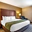 Comfort Inn Charlotte
