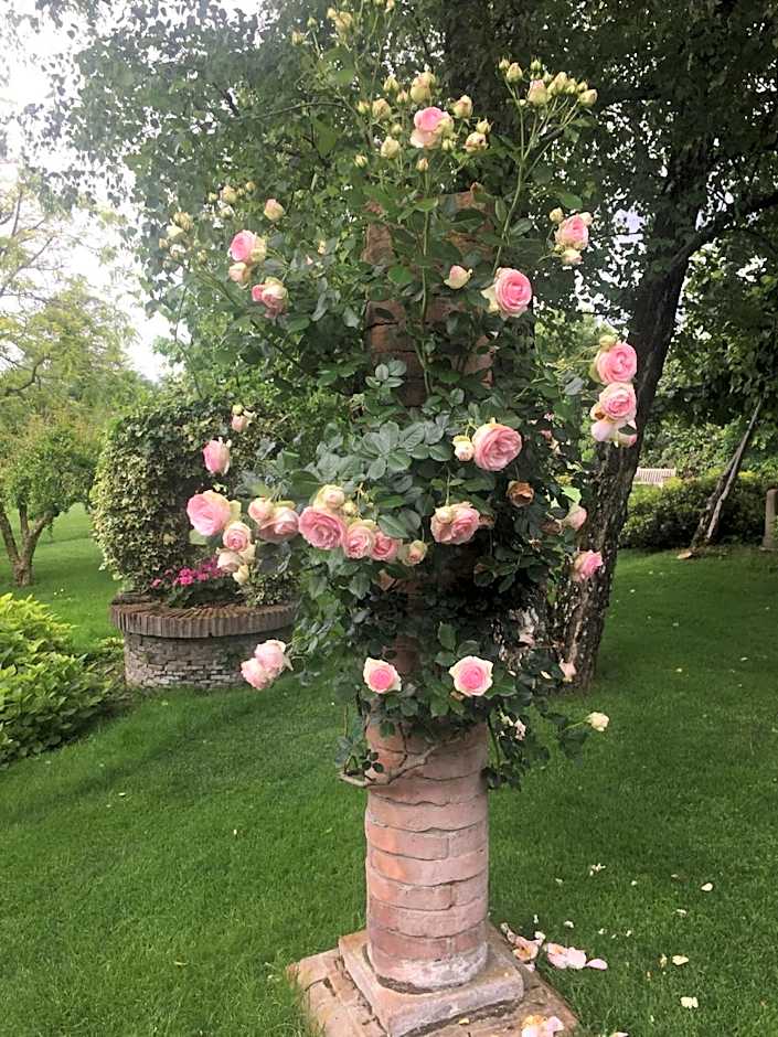 La Pergola B&B