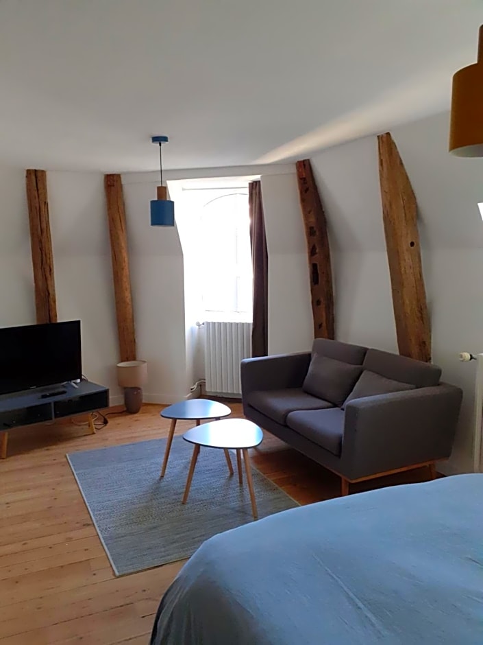 Centre ville, chambre indépendante 20m2 et sa salle de bain privée