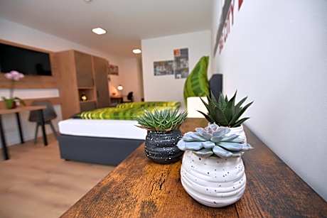 Penthouse Apartment
