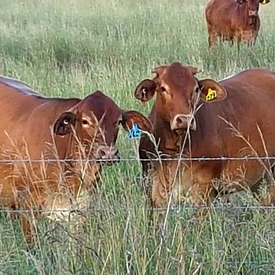 Esk Wivenhoe Motor Inn