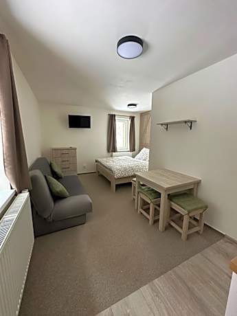 King Studio with Sofa Bed