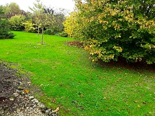 Chambre d'hôtes côté jardin