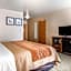 Comfort Inn Salida