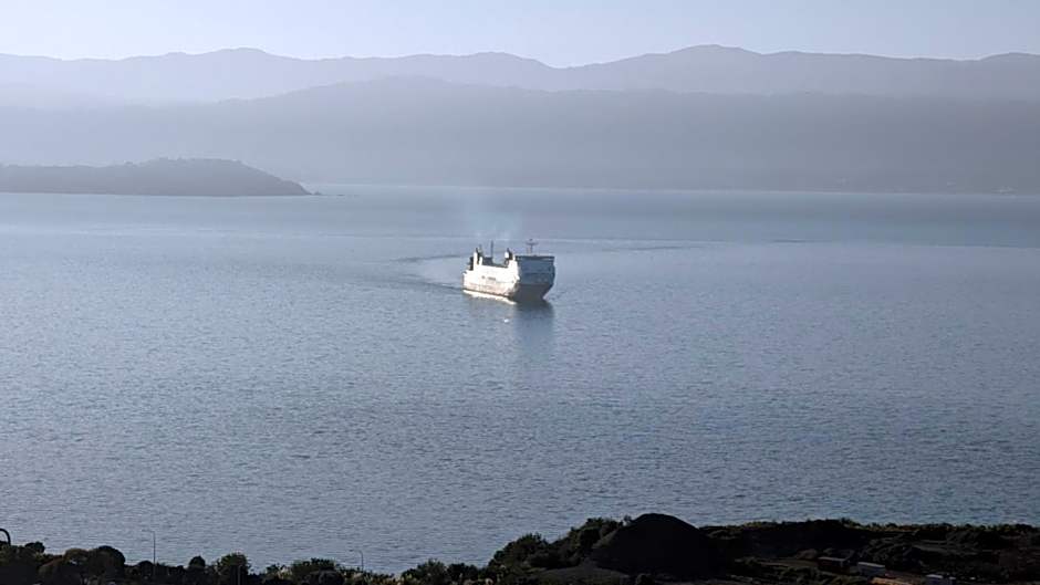 Harbour Lodge Wellington