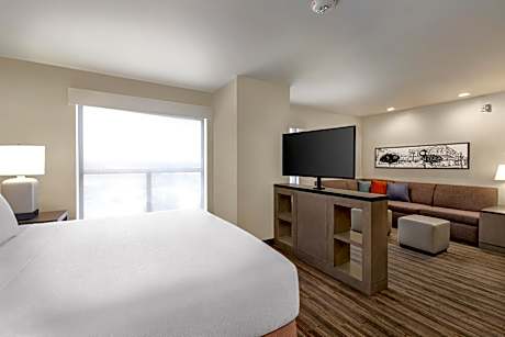 King Studio Suite with Sofa Bed