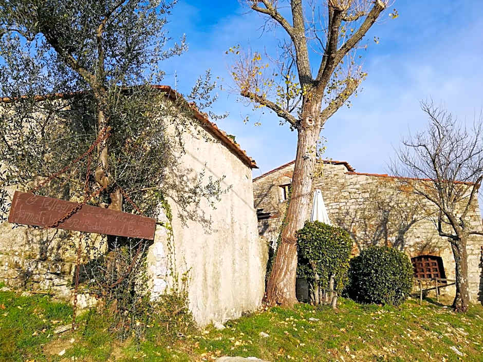 Agriturismo CasaMatta Azienda Agricola