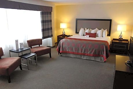 1 Queen Bed Deluxe Mobility Accessible Room Non-Smoking