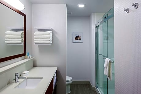 King Room W/ Microwave/Fridge Ns