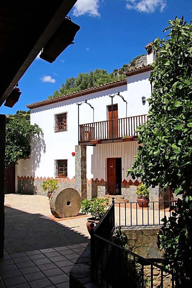 Molino Cuatro Paradas