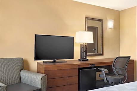 Standard King Room with Sofa Bed